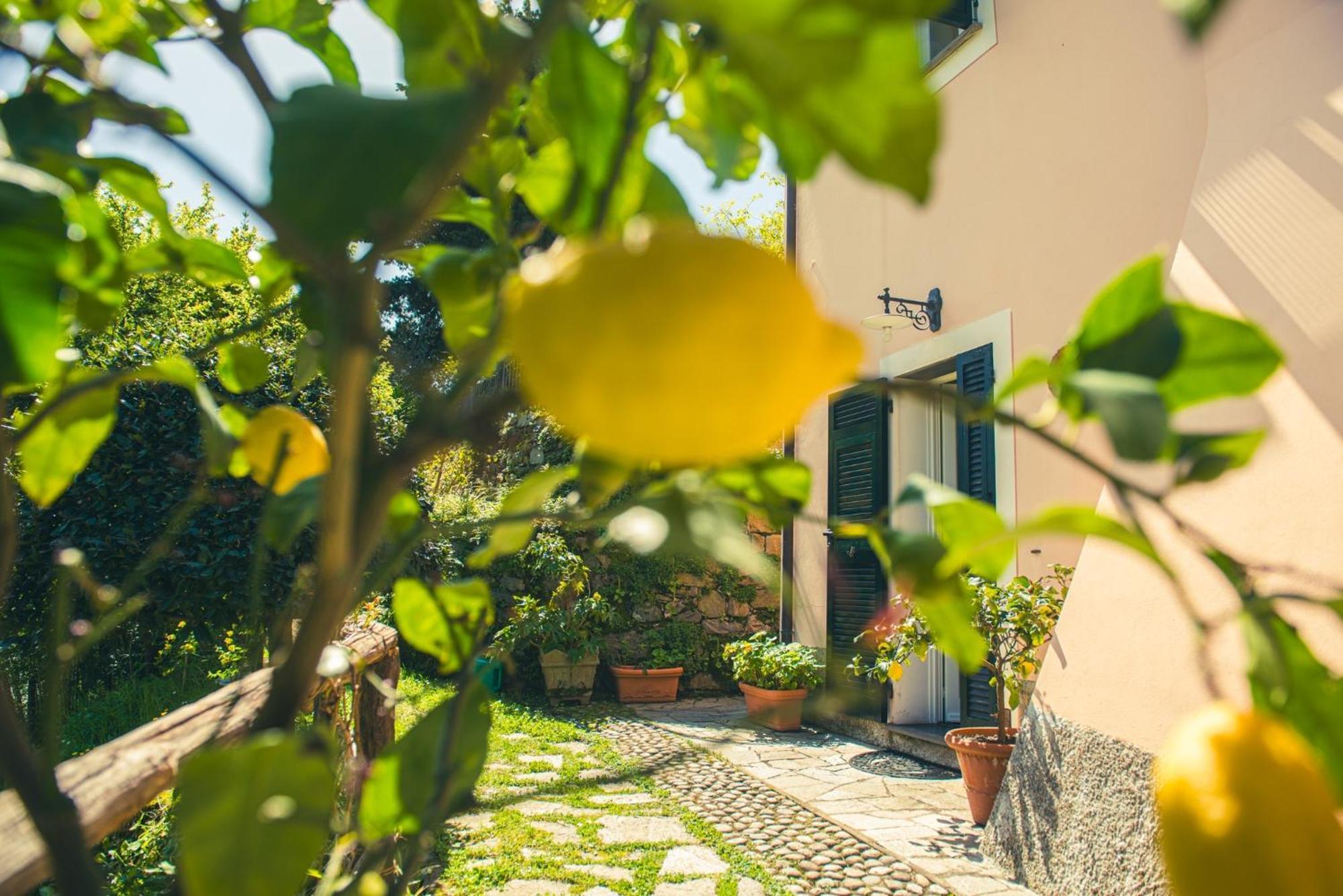 Agriturismo Villa Caterina Levanto Exterior photo